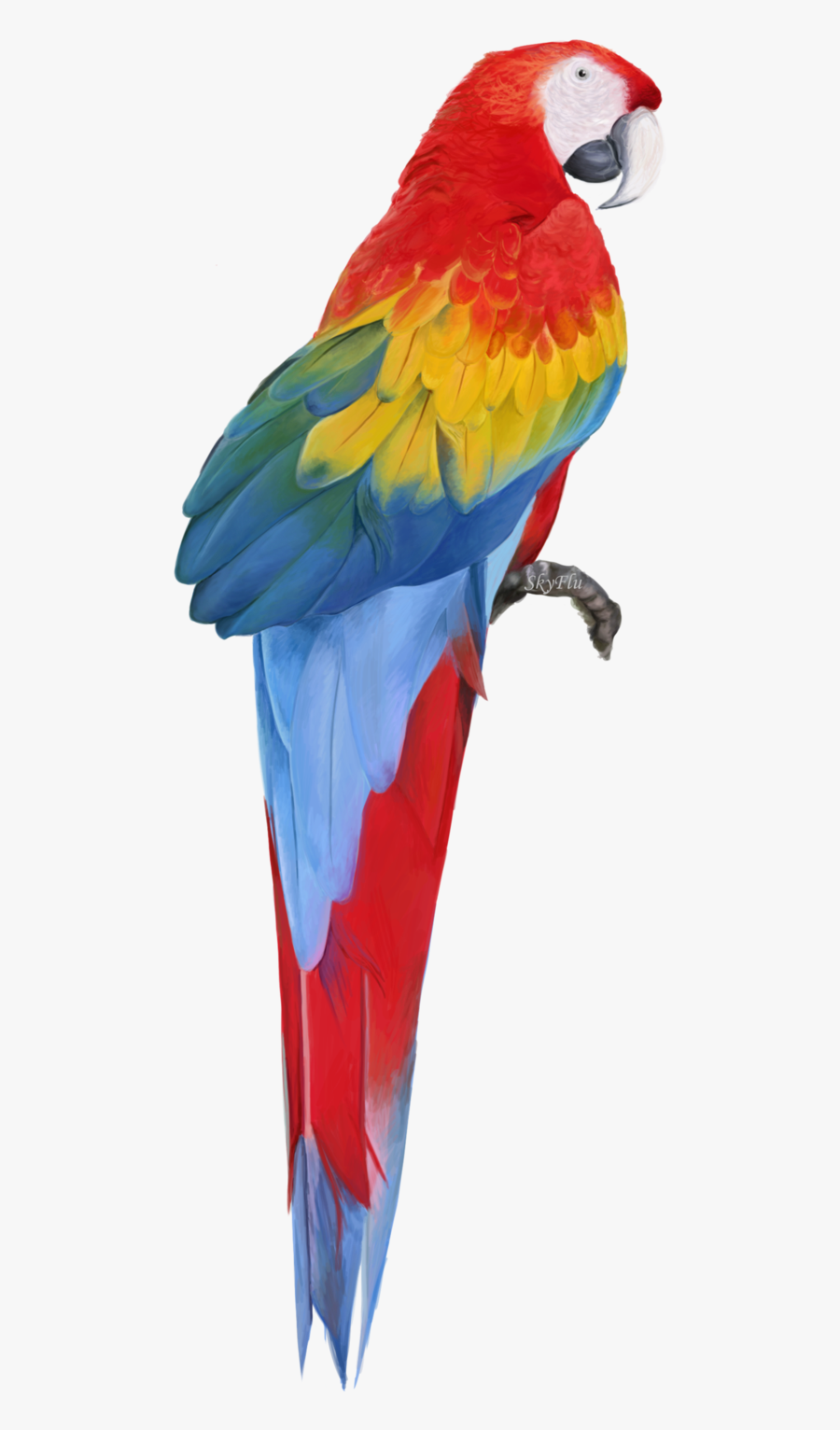 Macaw Free Download Png - Macaw Png, Transparent Clipart