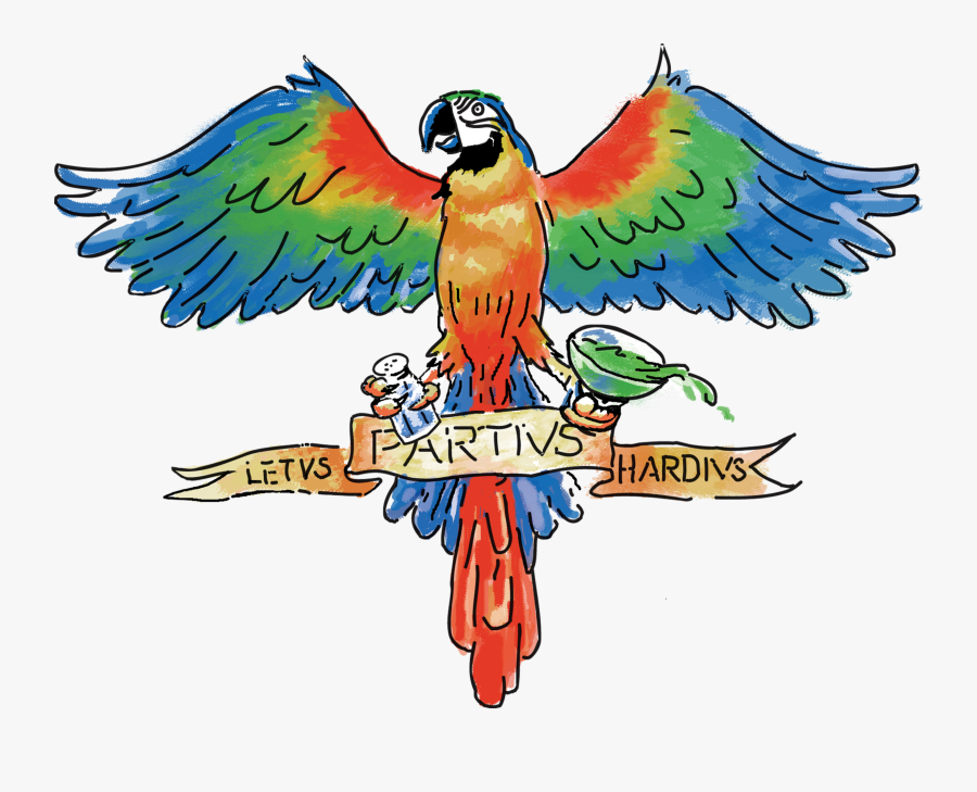 Macaw, Transparent Clipart