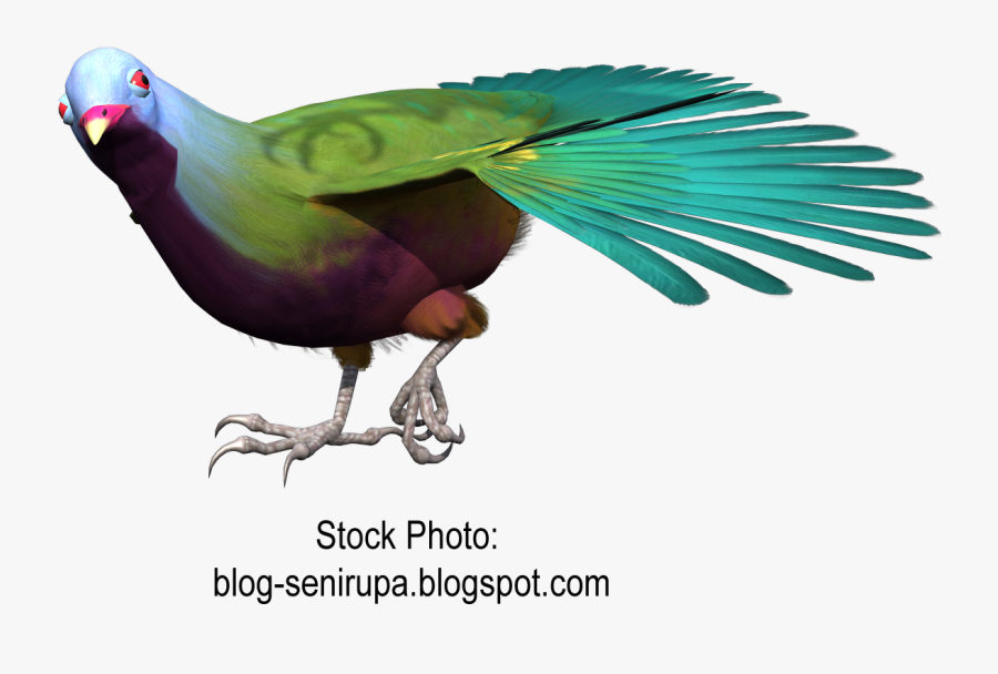 Goose Macaw Bird Gulls Beak Free Png Hq Clipart - Parakeet, Transparent Clipart
