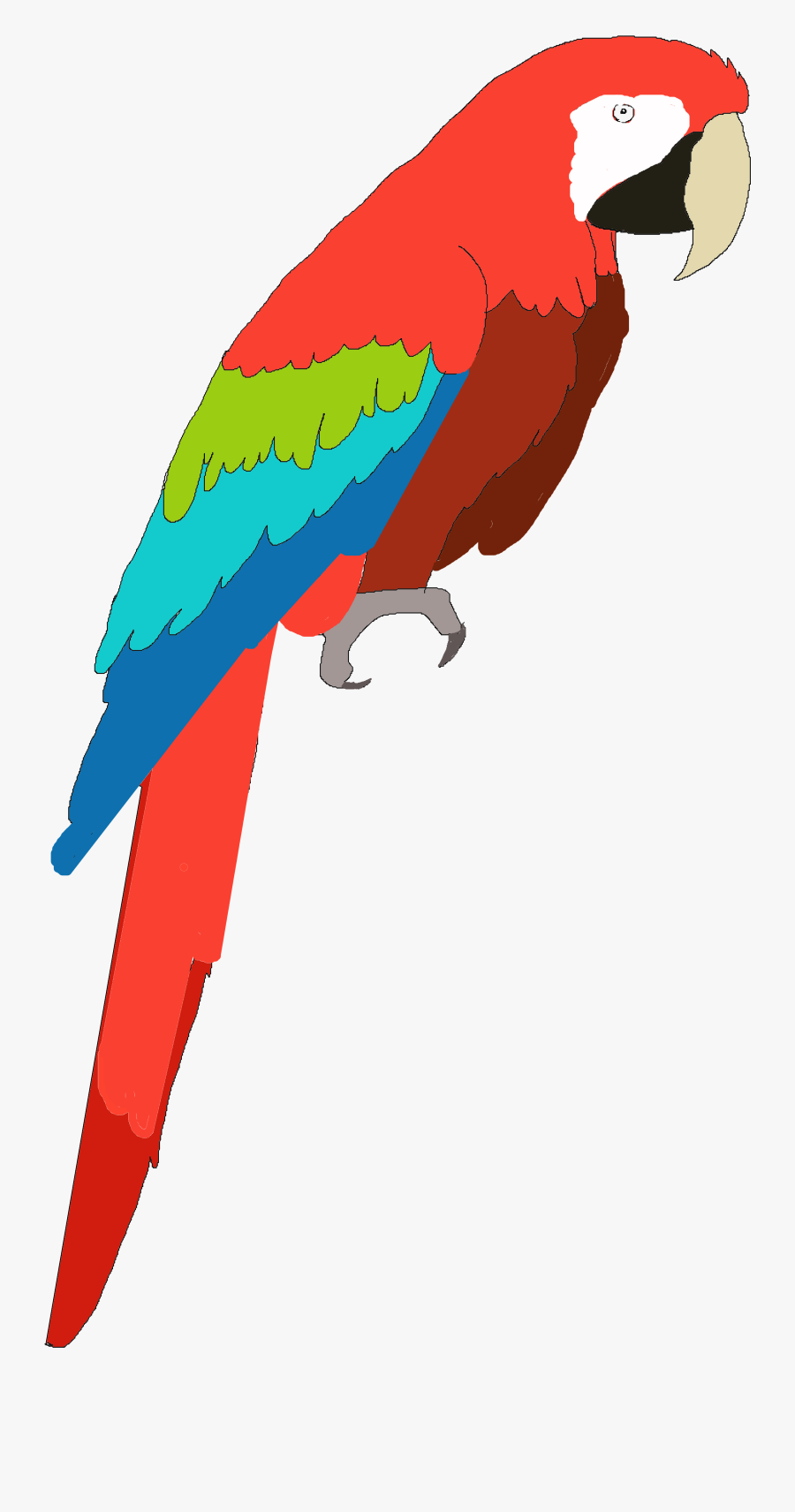 Macaw Clipart, Transparent Clipart