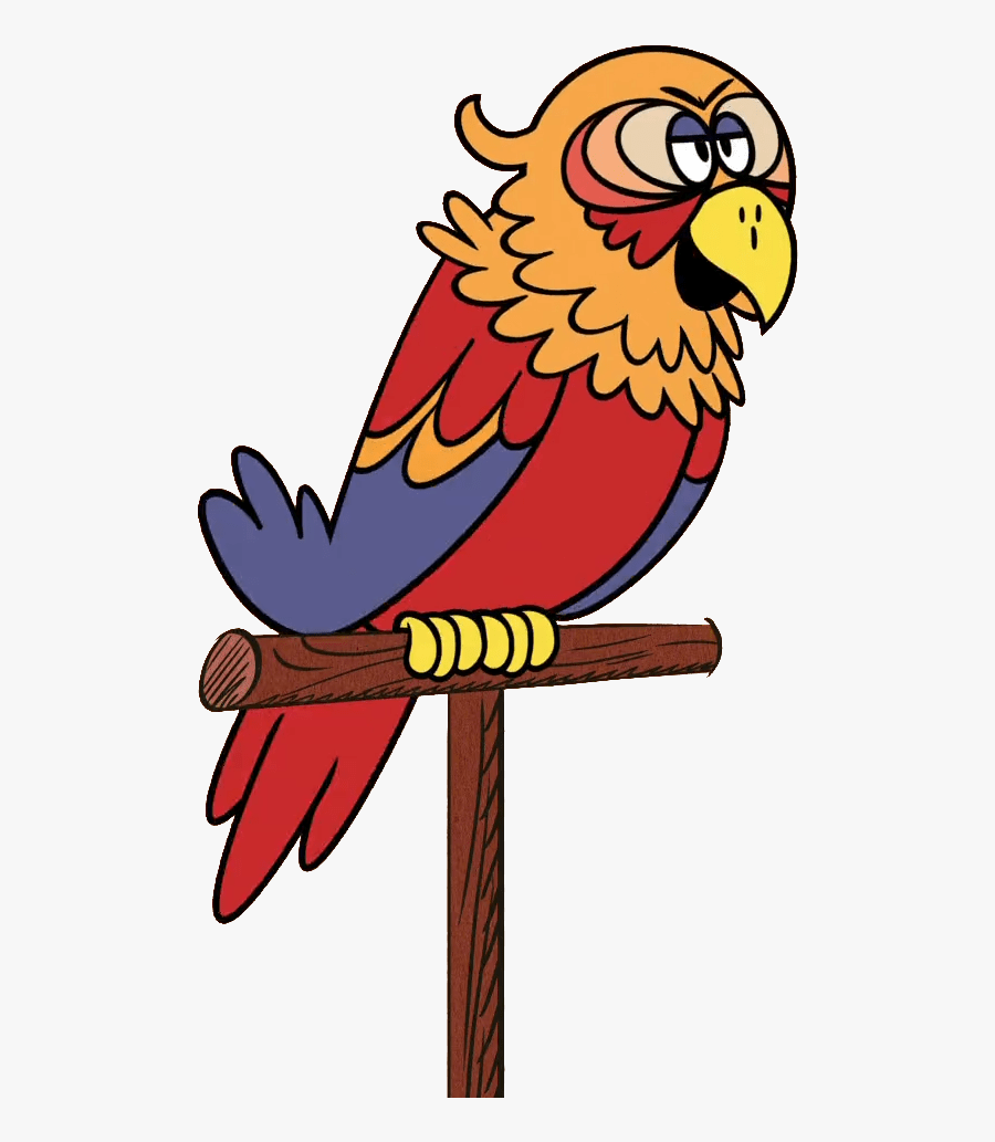 The Loud House Character Sergio The Parrot - Loud House Parrot, Transparent Clipart