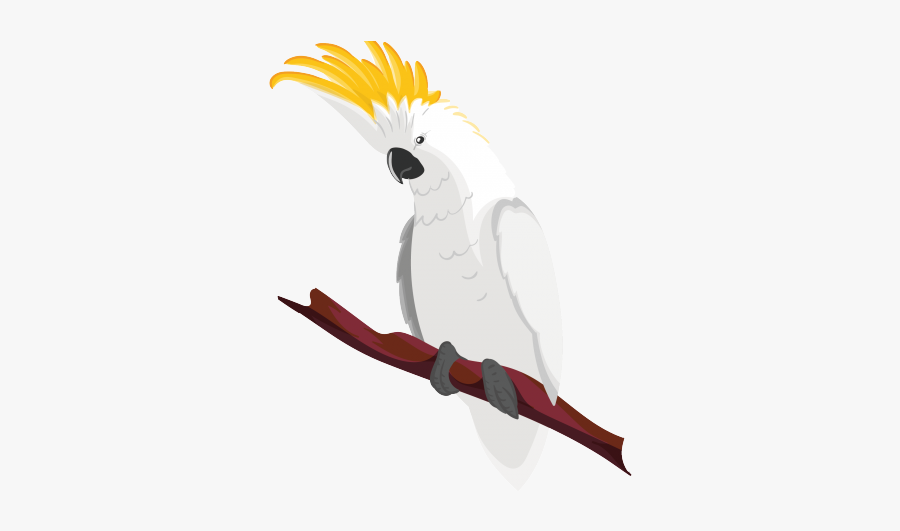 Bird With Yellow Thing, Transparent Clipart