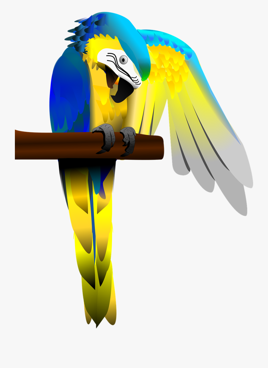 Transparent Blue And Gold Macaw, Transparent Clipart