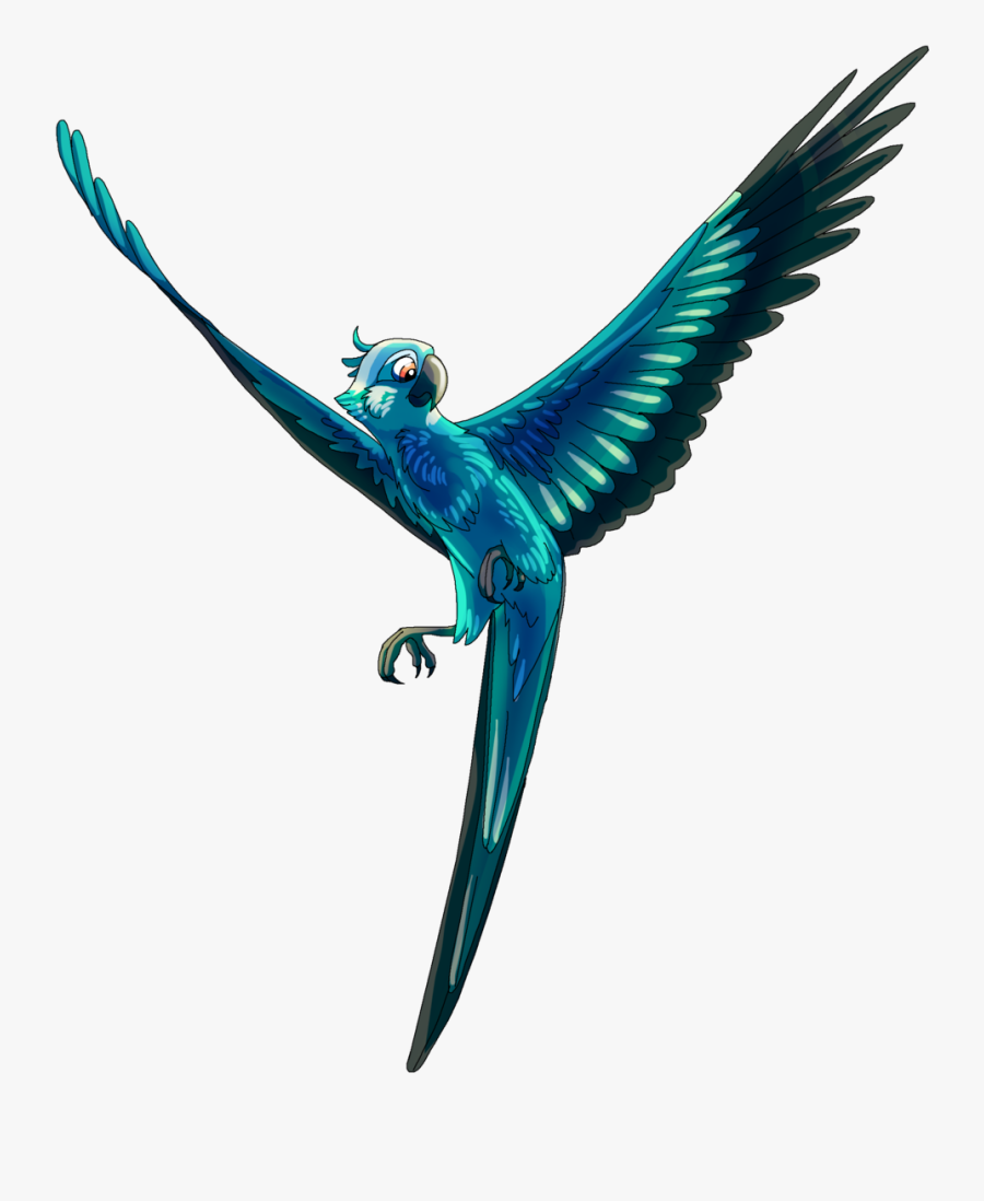 Flying Macaw Drawing Download - Blue Macaw Flying Drawing, Transparent Clipart