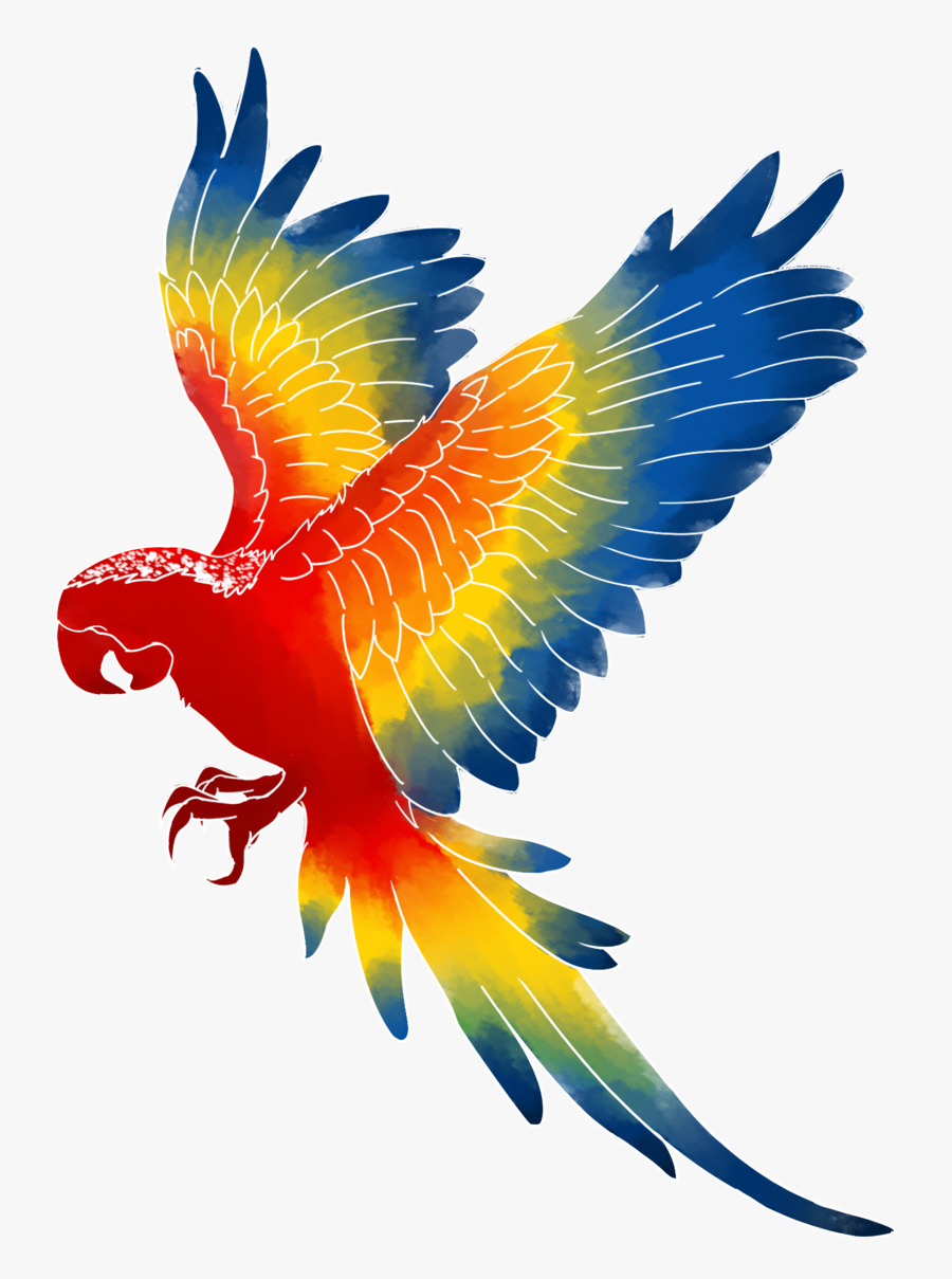 Macaw Png Clipart , Png Download - Macaw Clipart Png, Transparent Clipart