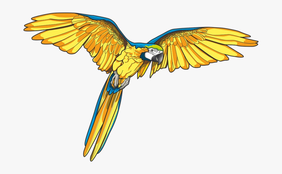 Forgetmenot Birds Parrots - Perroquet En Vol Dessin, Transparent Clipart