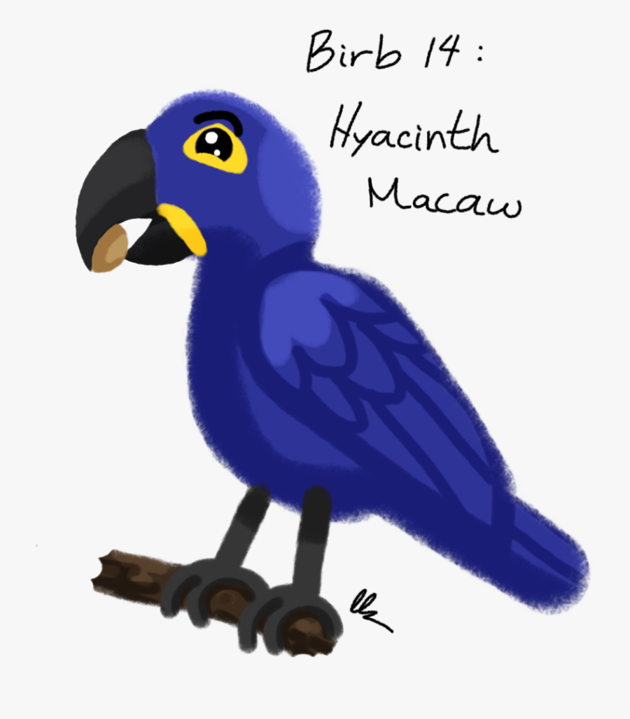 Transparent Macaw Png - Parrot, Transparent Clipart