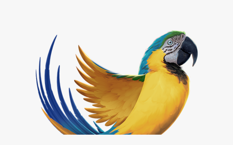Blue And Yellow Macaw Clipart Early - Bird Body Transparent, Transparent Clipart