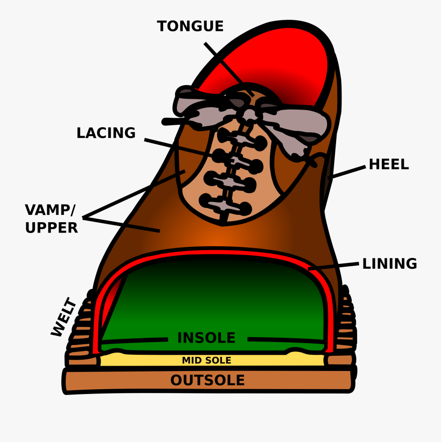 Transparent Converse Clipart - Parts Of Shoe In Orthopaedics, Transparent Clipart