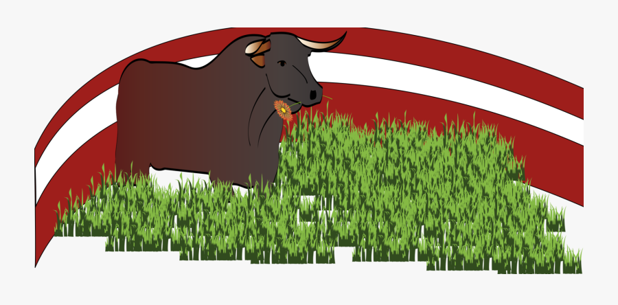Bull, Transparent Clipart