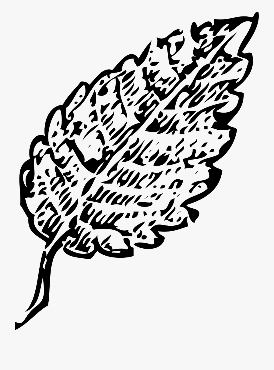 Leaf Clip Art Black, Transparent Clipart