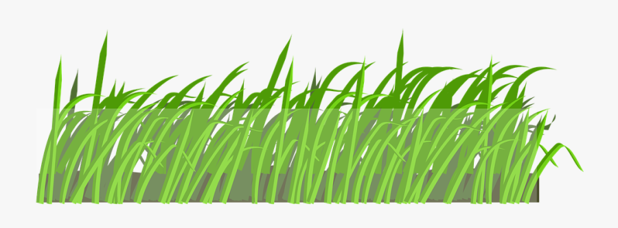 Plant Lawn Clipart - Cartoon Grass, Transparent Clipart