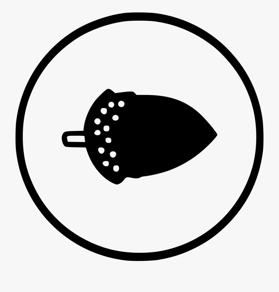 Kitchen Dry Fruit Groundnuts Nuts Peanuts Comments - Dry Fruits Icon, Transparent Clipart