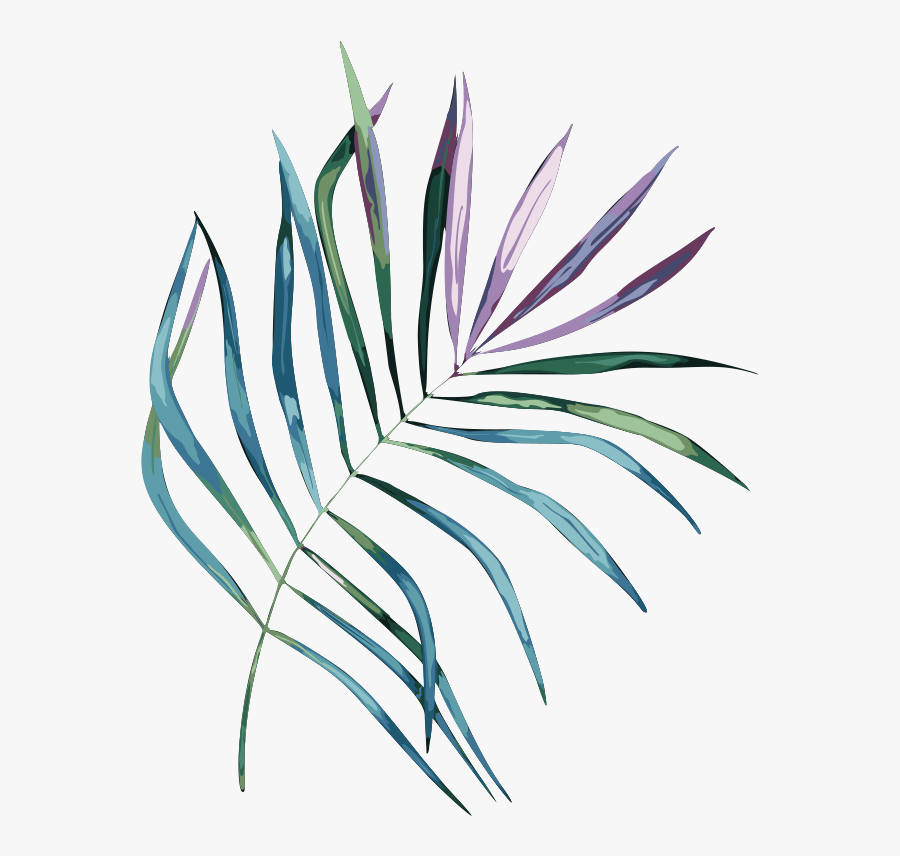 Drawing Clipart , Png Download - Drawing, Transparent Clipart