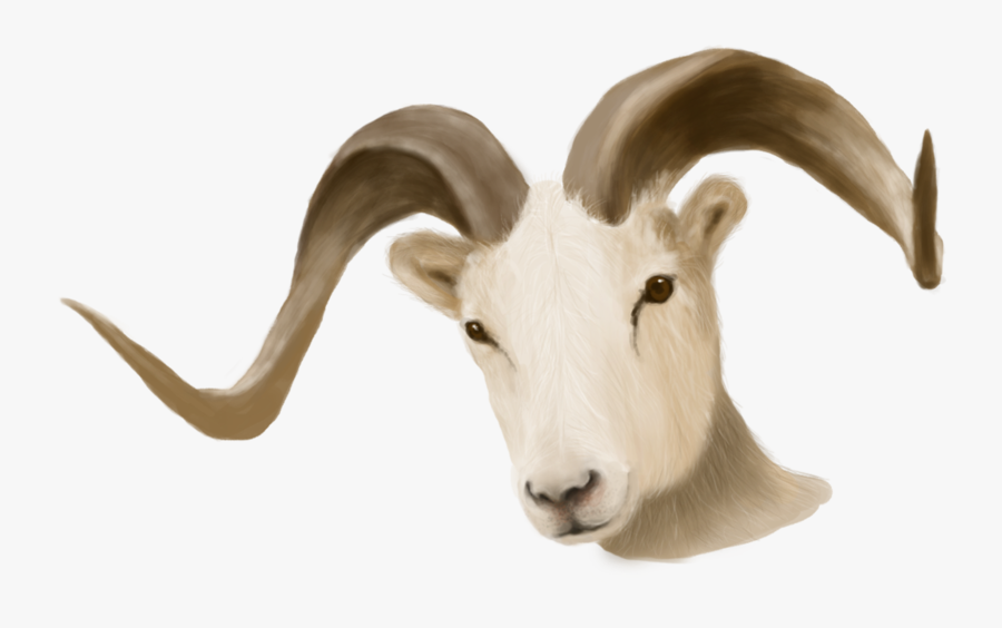 Painted Ram Head - Ram Trucks, Transparent Clipart