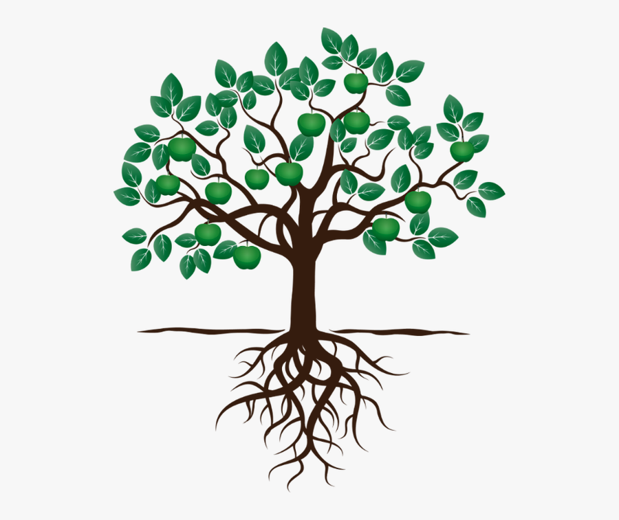 Social Work Opportunities - Fruit Tree With Roots, Transparent Clipart