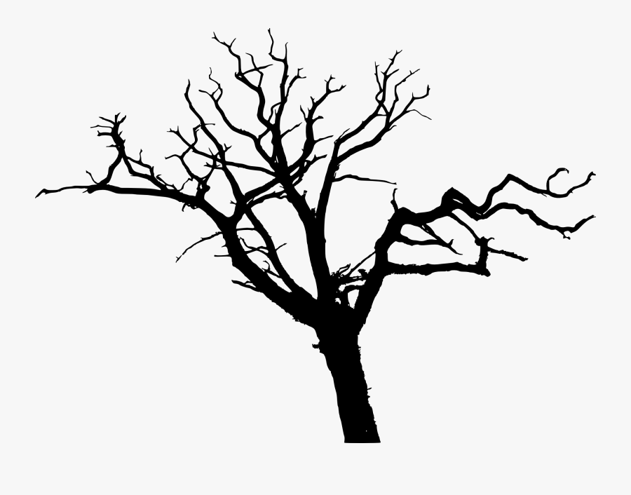 Clip Art Leafless Tree - Bare Tree Silhouette Png, Transparent Clipart