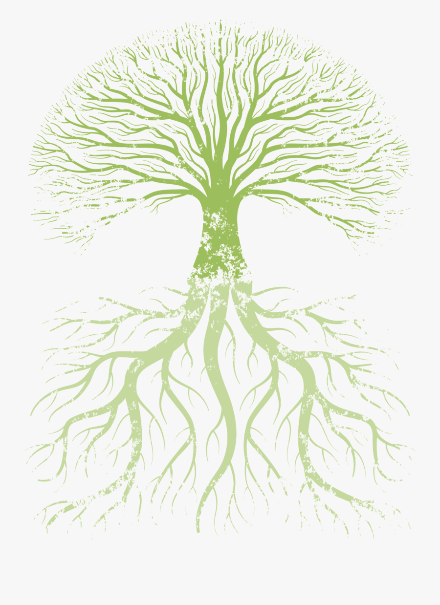Family Tree Root Tree Of Life - True Knowledge Is Knowing The Extent Of One's Ignorance, Transparent Clipart