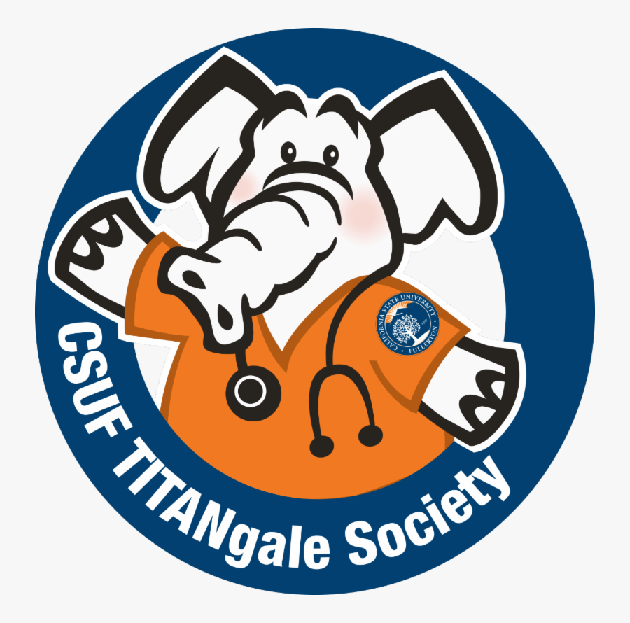 Connect With The Csuf School Of Nursing As A Student, - Cal State Fullerton Nursing Program, Transparent Clipart