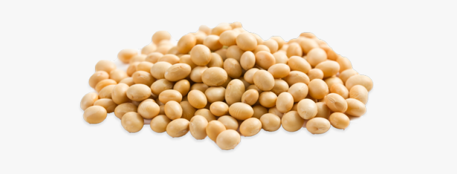 Soybean Png - Soybeans Mature Seeds Raw, Transparent Clipart