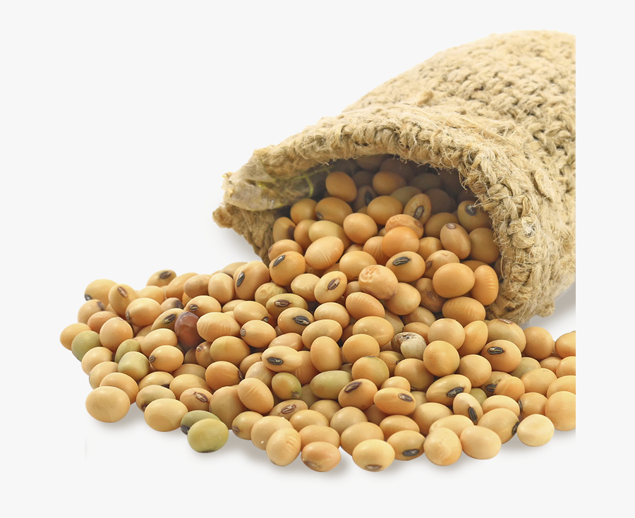 Soybean - Soya Beans Transparent, Transparent Clipart