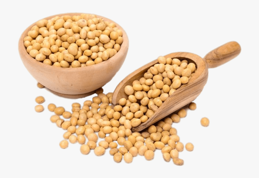 Scoop And Bag Of Dried Soybeans - Soybeans Png, Transparent Clipart