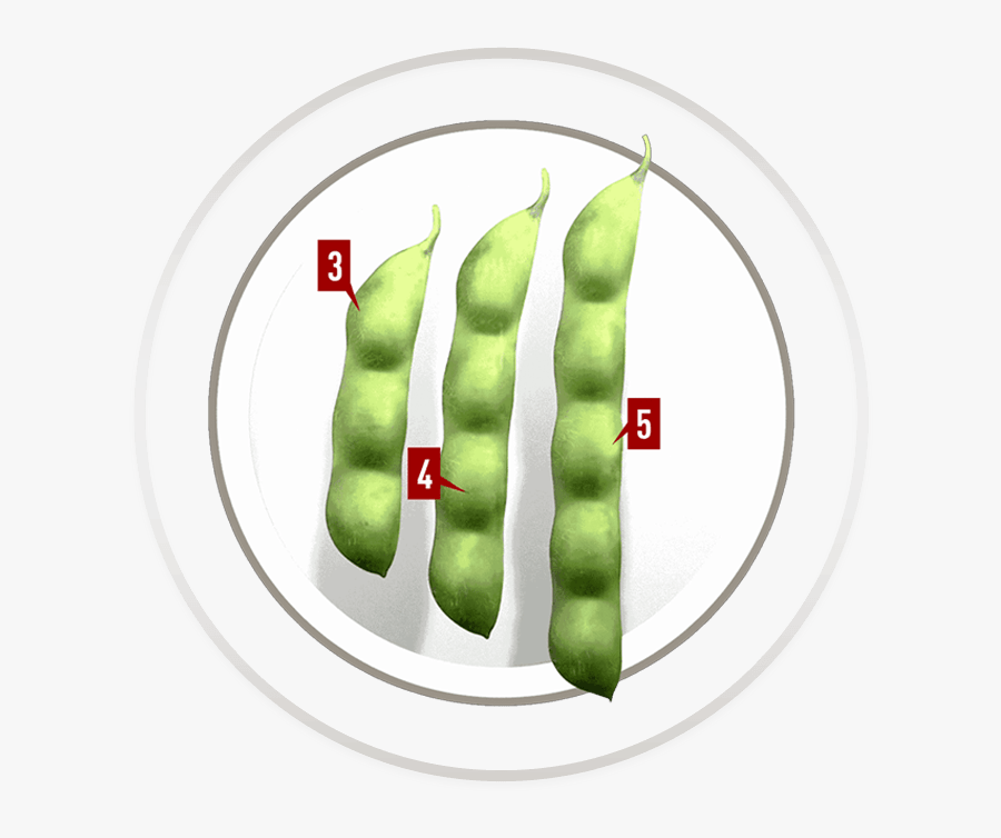 Clip Art Roundup Ready Xtend Genuity - Xtend Soybeans, Transparent Clipart