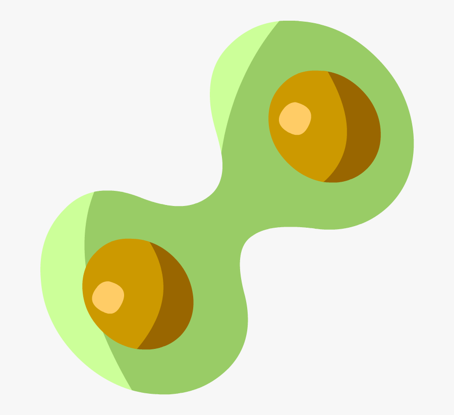Mitosis Brainpop Clipart , Png Download - Brainpop Mitosis, Transparent Clipart