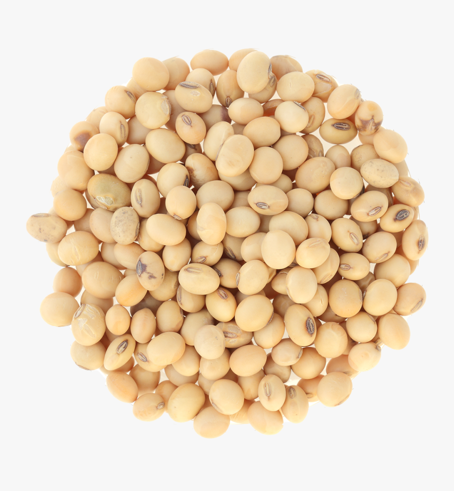 Soybean Png, Transparent Clipart