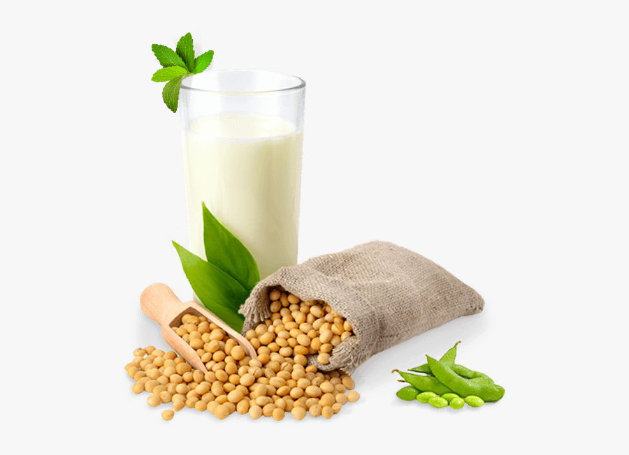 Soybean Png - Soya Bean Milk Png, Transparent Clipart