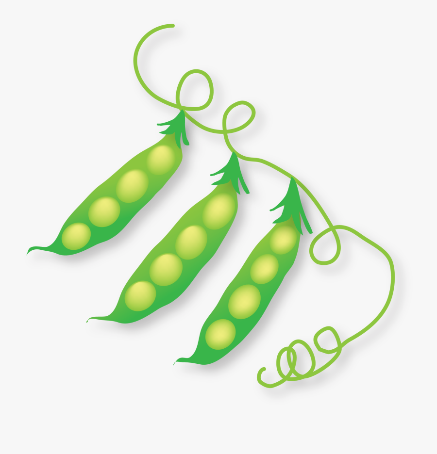 Peas Clipart Soya Bean - Illustration, Transparent Clipart
