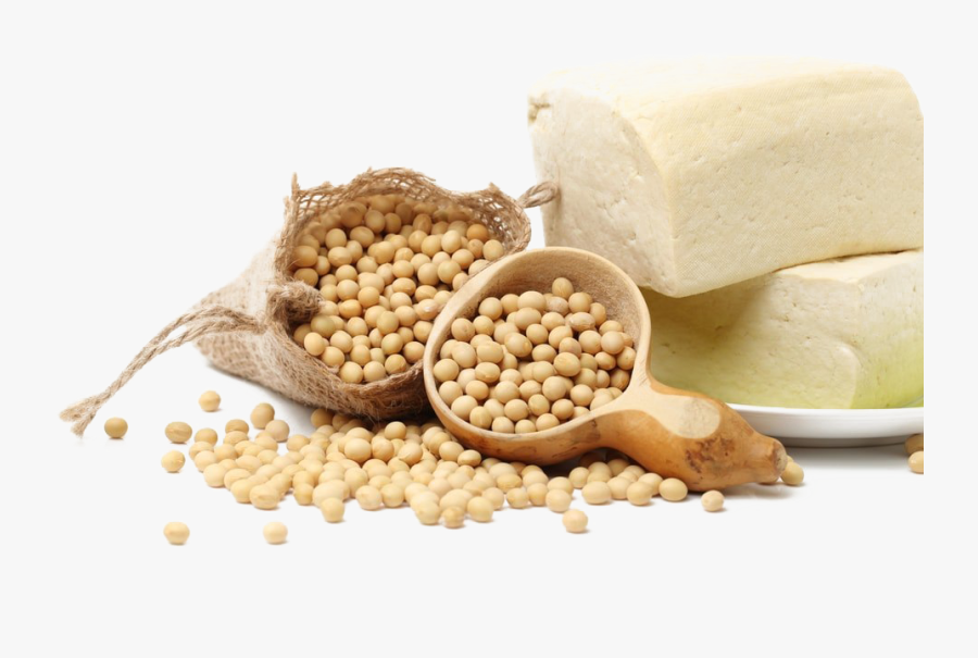 Soybean Png Pic - Tahu Dan Kedelai, Transparent Clipart