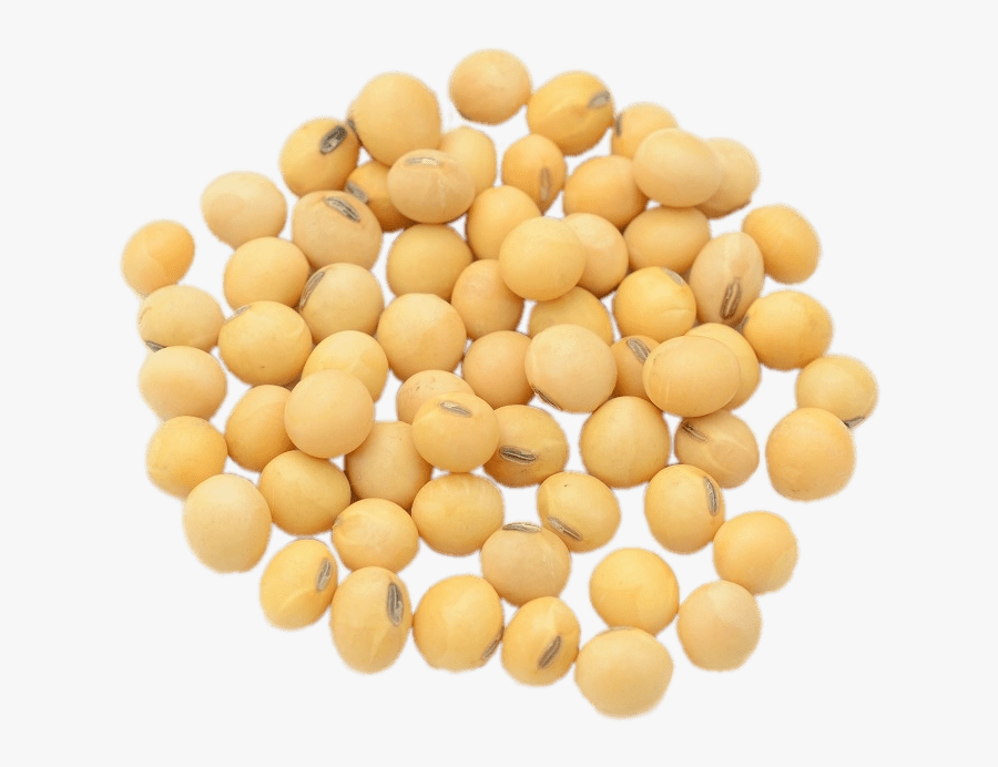 Dried Soybeans - Sałatka Z Cieciorką Kuskus, Transparent Clipart