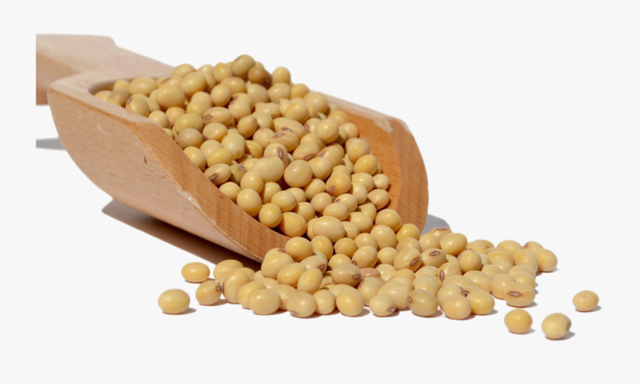 Soybean Png Download Image - Soya Bean Oil Png, Transparent Clipart
