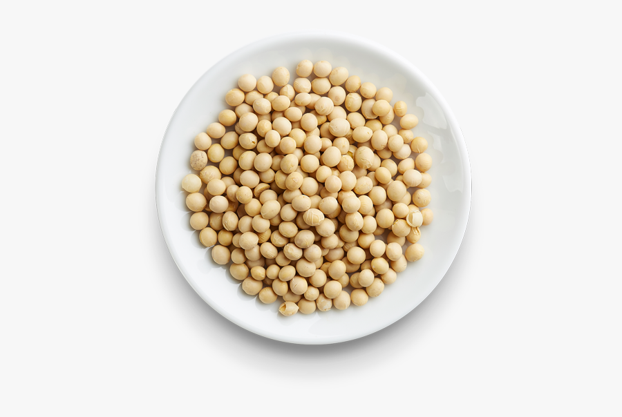 Soybean Png - Chickpea, Transparent Clipart