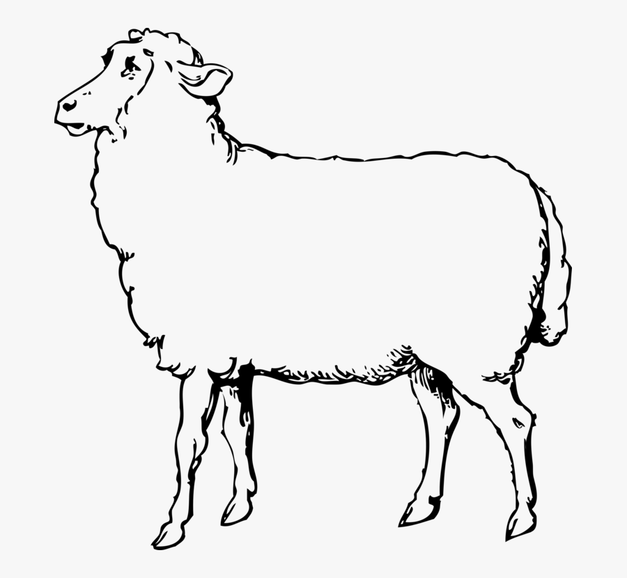 Donkey,pony,livestock - Sheep Black And White, Transparent Clipart