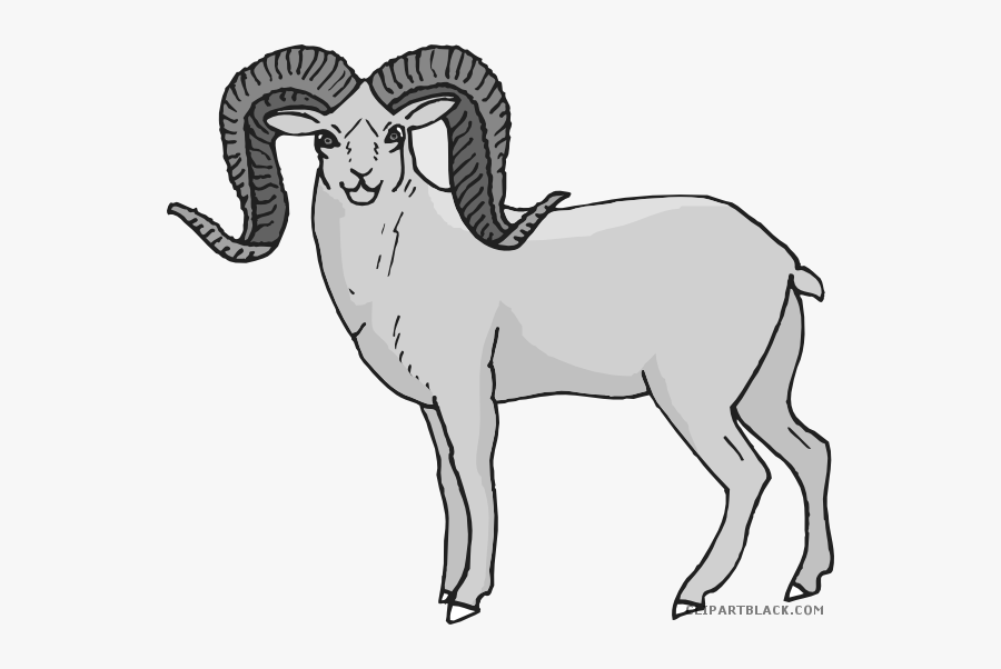 Bighorn Animal Free Images - Bighorn Sheep Clip Art, Transparent Clipart