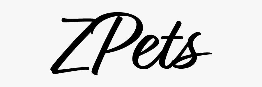 Calligraphy, Transparent Clipart