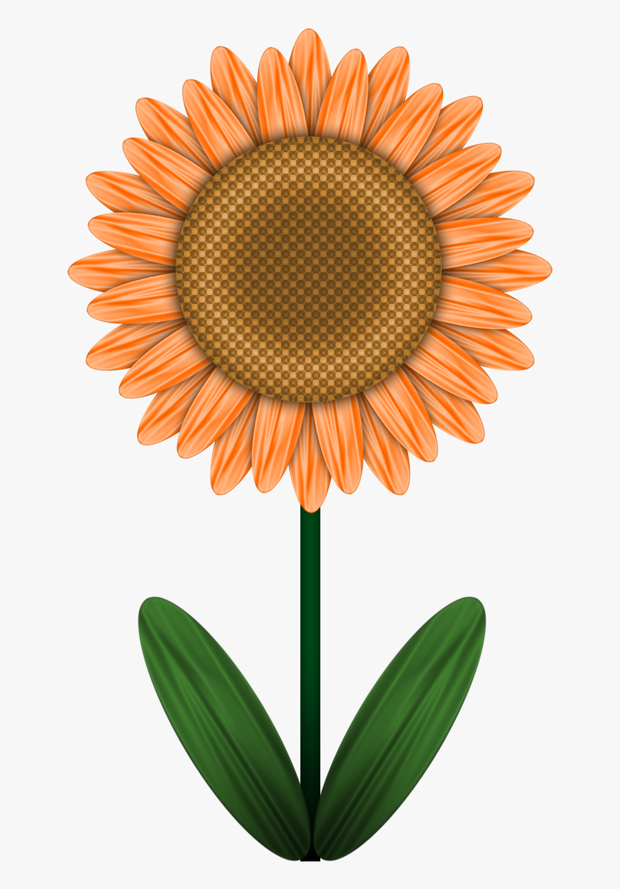 Transparent Nova Clipart - Finsbury Park, London, Transparent Clipart