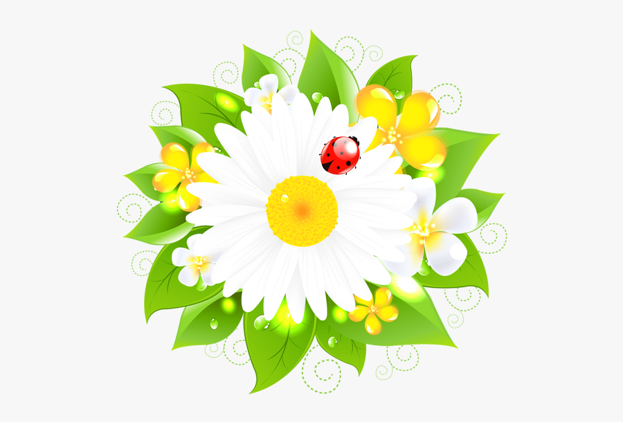 Cute Spring Clipart, Transparent Clipart