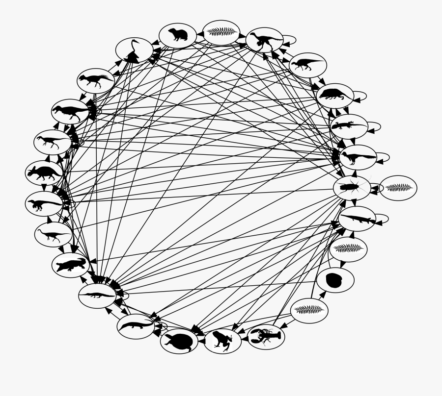 Transparent Ferris Wheel Clipart Black And White - Food Web Of The World, Transparent Clipart