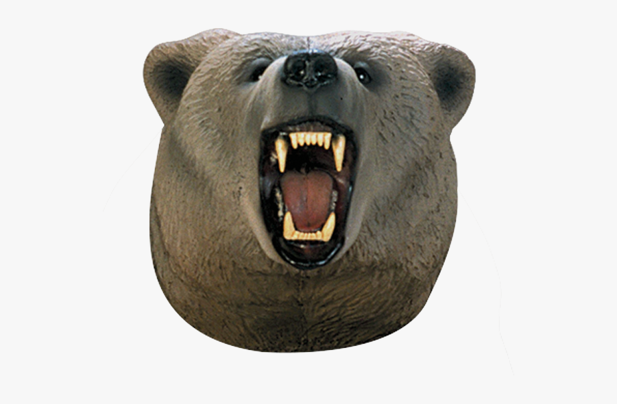 Clip Art Grizzly Bear Head - Grizzly Bear Head, Transparent Clipart