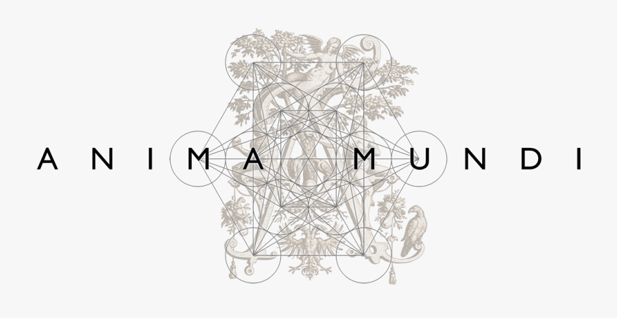 Download - Anima Mundi, Transparent Clipart