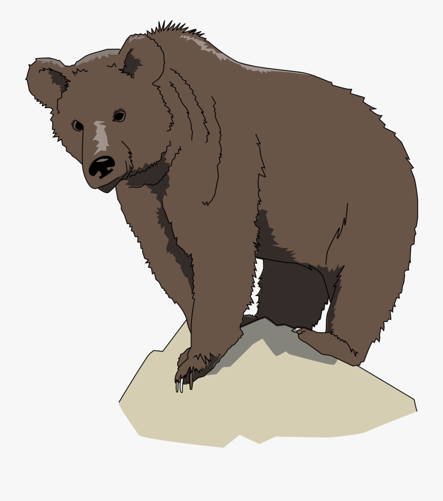 Animal - Bear Standing On Rock, Transparent Clipart