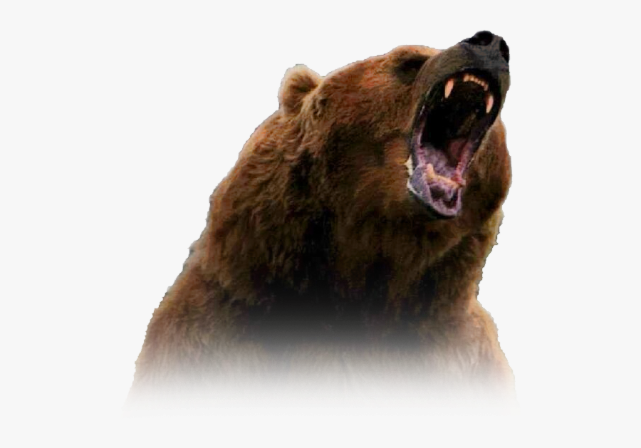 Transparent Growling Bear Clipart - Grizzly Bear Roaring, Transparent Clipart