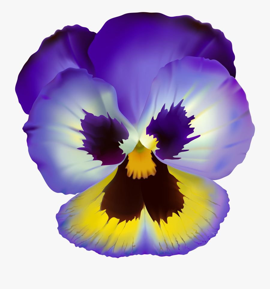Clip Art Pansy Flower Clip Art - Flower With Clear Background, Transparent Clipart