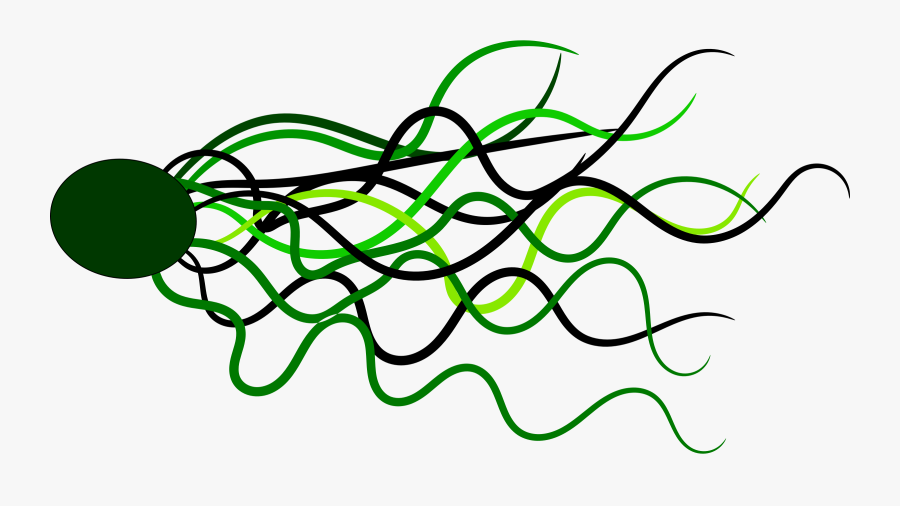 Flowing - Vektor Garis Png, Transparent Clipart