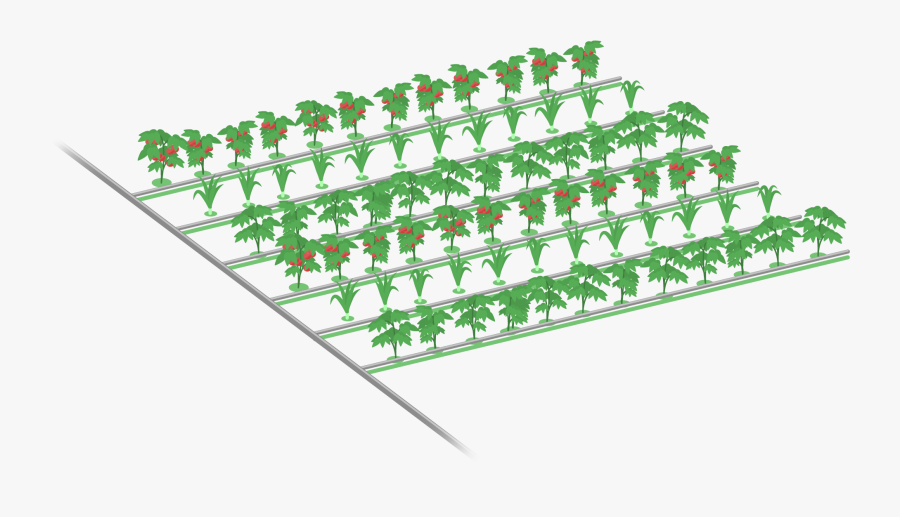 Fence, Transparent Clipart