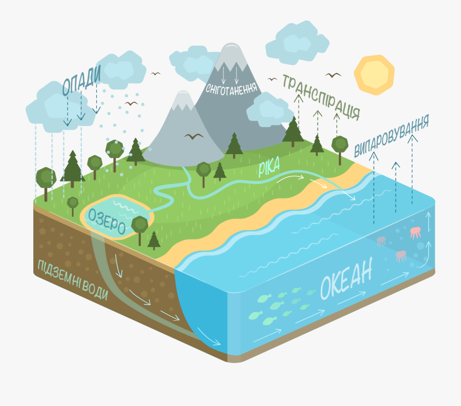 Kid Friendly Water Diagram - Water Cycle Png, Transparent Clipart