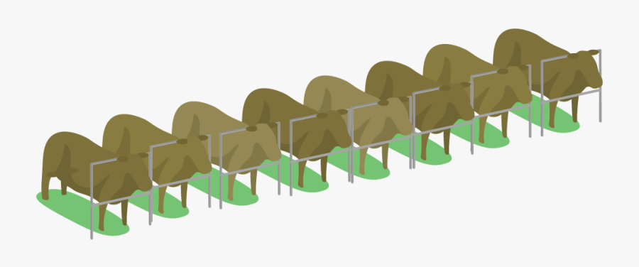 Illustration, Transparent Clipart